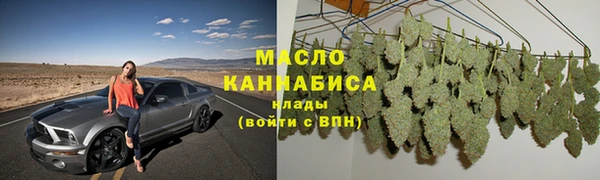 индика Абаза