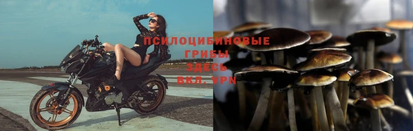 гидра Абдулино