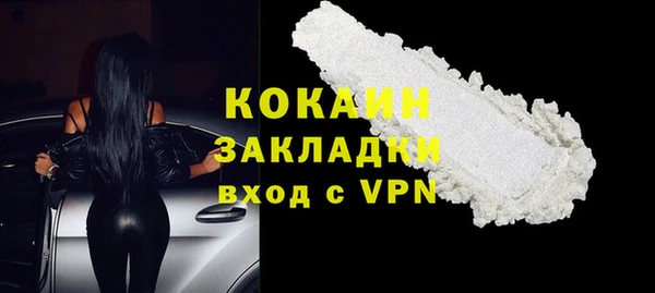 индика Абаза