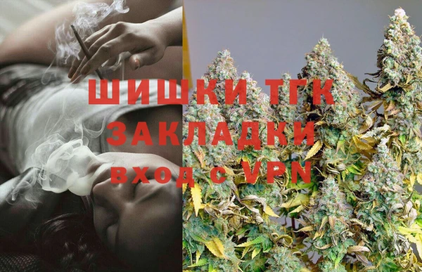 индика Абаза