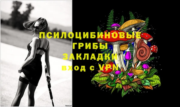 ГАЛЛЮЦИНОГЕННЫЕ ГРИБЫ Абинск