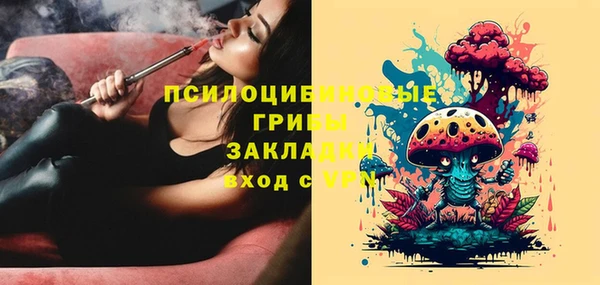 круглые Алзамай