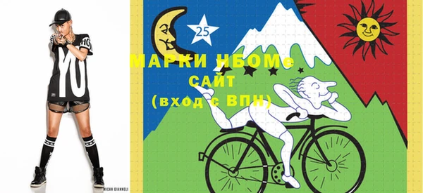 индика Абаза