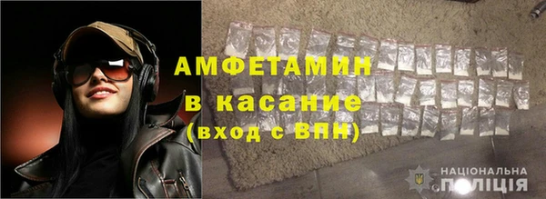 индика Абаза