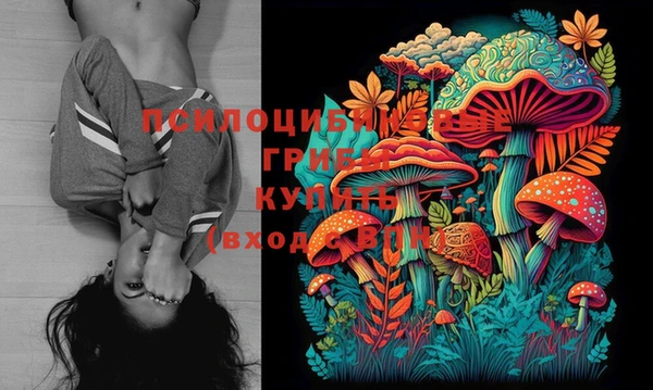 ГАЛЛЮЦИНОГЕННЫЕ ГРИБЫ Абинск