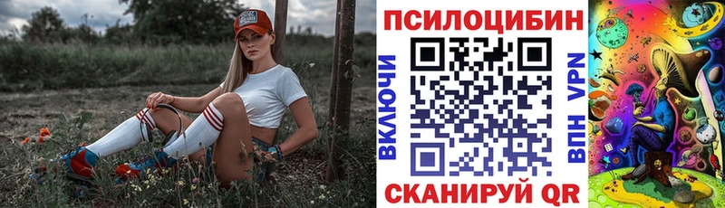 Галлюциногенные грибы Cubensis  Устюжна 